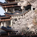 无锡旅游 缩略图 2