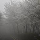 重庆旅游 缩略图 2