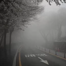 重庆旅游 缩略图 3