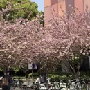 芜湖旅游 缩略图 8