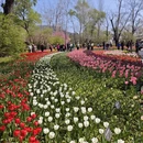 北京旅游 缩略图 10