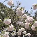 北京旅游 缩略图 3
