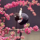 北京旅游 缩略图 3