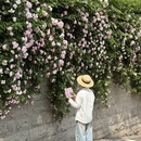 重庆旅游 缩略图 5