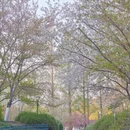 北京旅游 缩略图 6