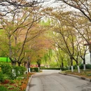 北京旅游 缩略图 1