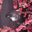 北京旅游 缩略图 10