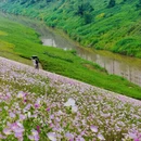 重庆旅游 缩略图 7