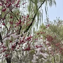 北京旅游 缩略图 8