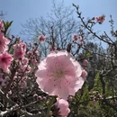 北京旅游 缩略图 7