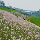 重庆旅游 缩略图 4