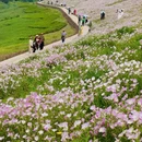 重庆旅游 缩略图 1
