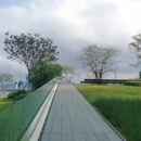 深圳旅游 缩略图 8