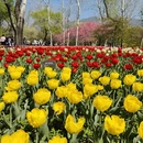 北京旅游 缩略图 1