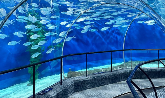 上海海洋水族馆