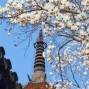 苏州旅游 缩略图 1