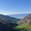 伊犁旅游 缩略图 2