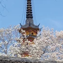 苏州旅游 缩略图 2