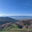 伊犁旅游 缩略图 3