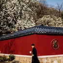 连云港旅游 缩略图 11