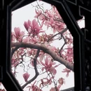 苏州旅游 缩略图 3