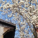 苏州旅游 缩略图 3
