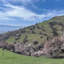 伊犁旅游 缩略图 4