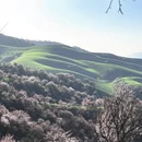 伊犁旅游 缩略图 5