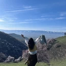 伊犁旅游 缩略图 9