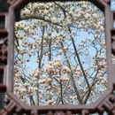 苏州旅游 缩略图 9