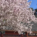 北京旅游 缩略图 1