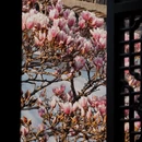苏州旅游 缩略图 12