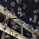 苏州旅游 缩略图 4