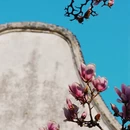 苏州旅游 缩略图 14