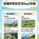 伊犁旅游 缩略图 4