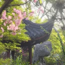 苏州旅游 缩略图 2