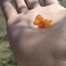 伊犁旅游 缩略图 3
