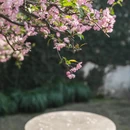 苏州旅游 缩略图 8
