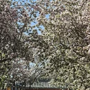北京旅游 缩略图 7