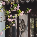 苏州旅游 缩略图 13