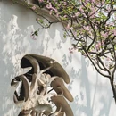苏州旅游 缩略图 14