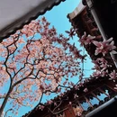 苏州旅游 缩略图 4