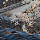 苏州旅游 缩略图 8