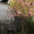 苏州旅游 缩略图 4