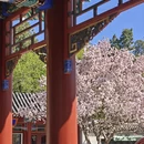 北京旅游 缩略图 9