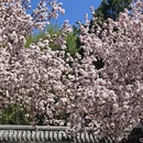 北京旅游 缩略图 10