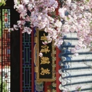 北京旅游 缩略图 2