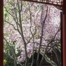 北京旅游 缩略图 5