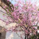 苏州旅游 缩略图 16
