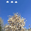 北京旅游 缩略图 1